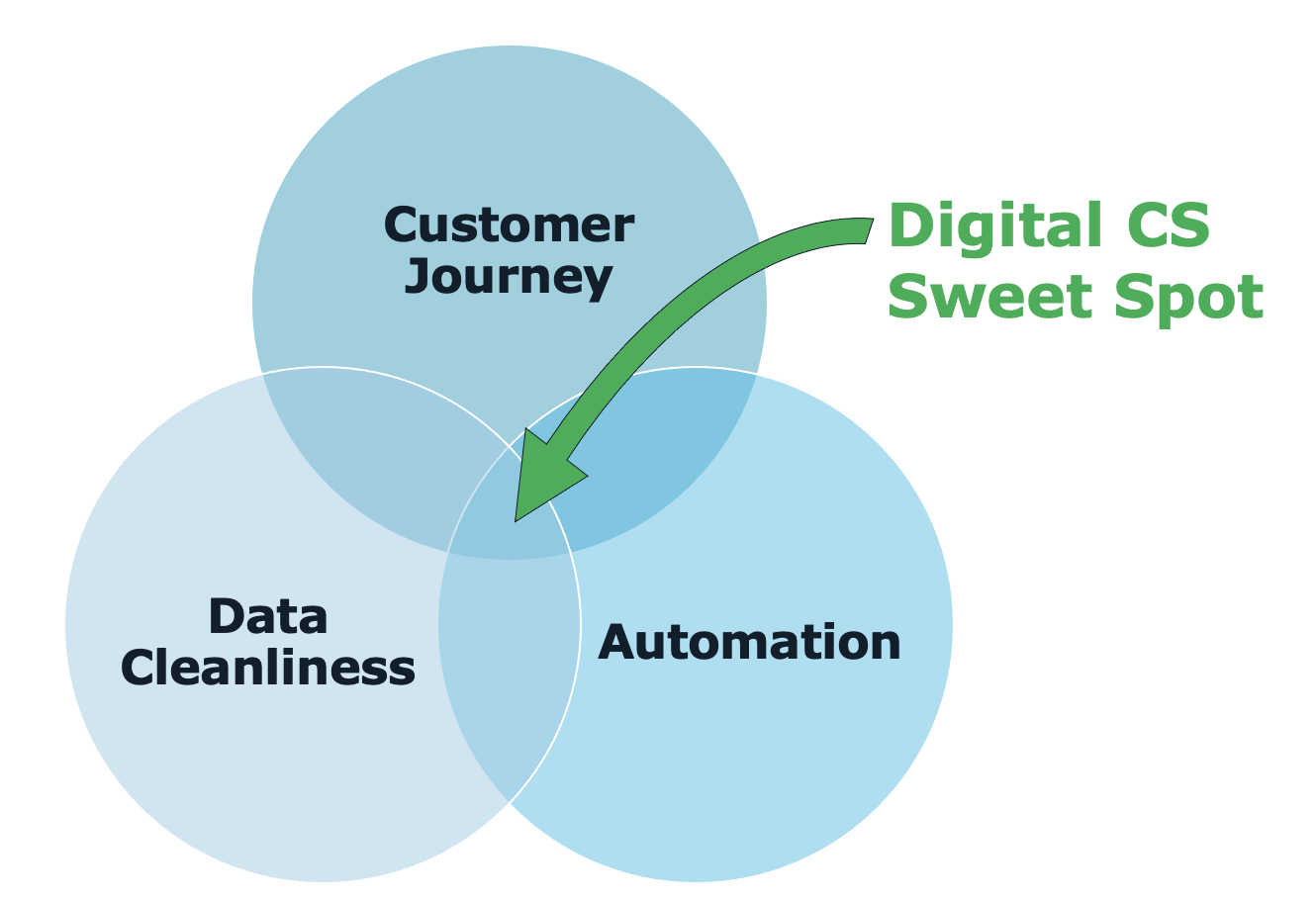 The Digital Customer Success Sweet Spot